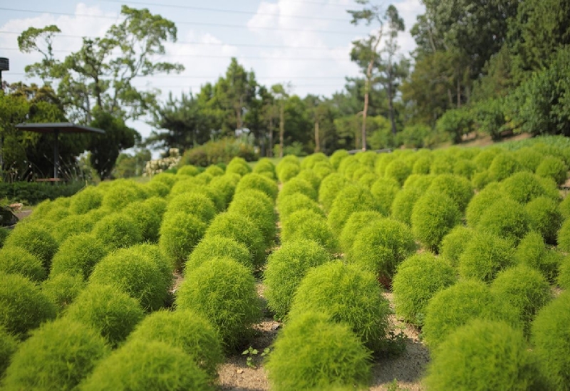 服部緑地都市緑化植物園