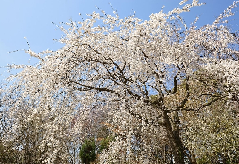 服部緑地都市緑化植物園