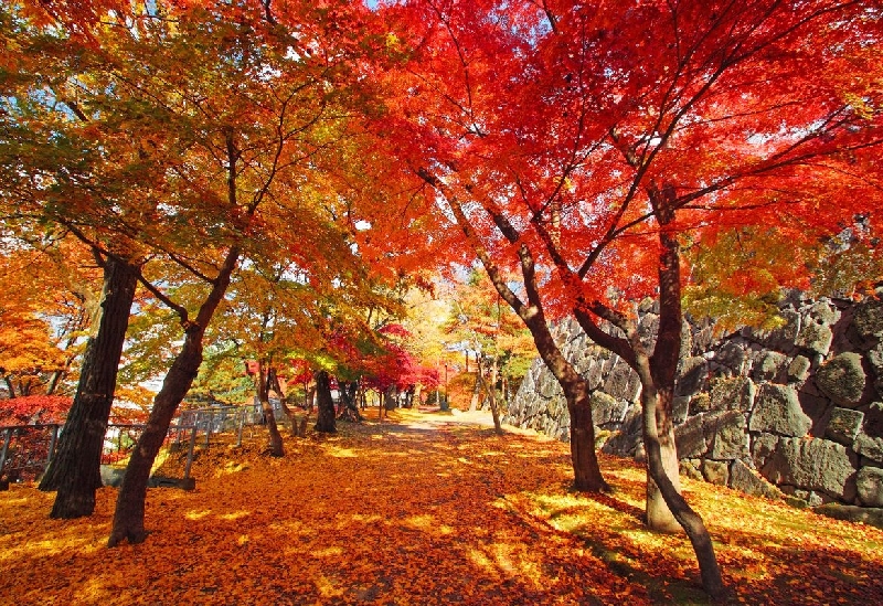 盛岡城跡公園（岩手公園）