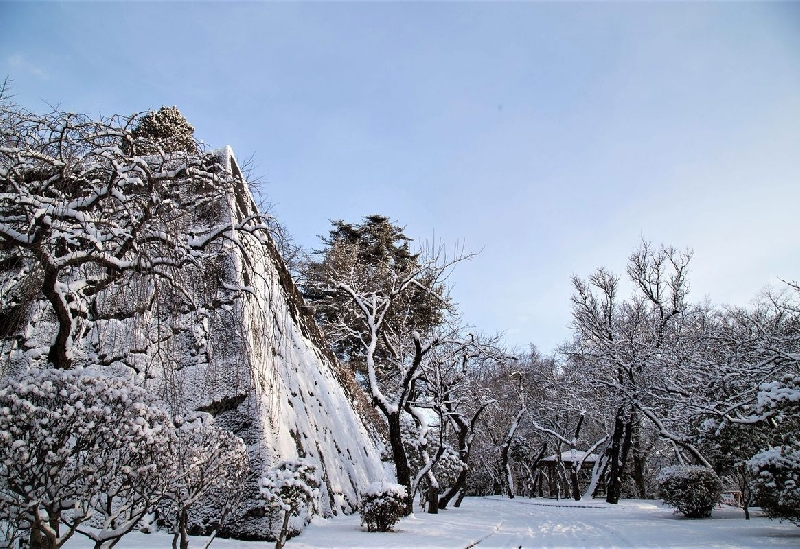 盛岡城跡公園（岩手公園）