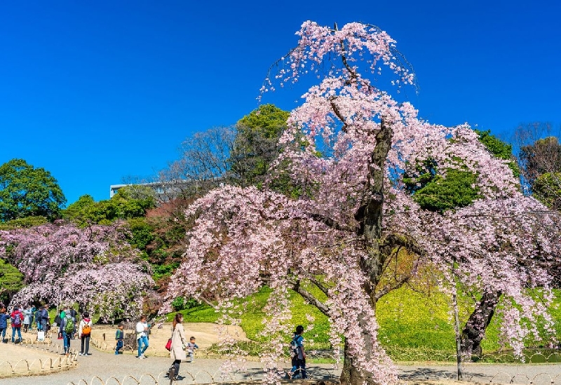 小石川後楽園