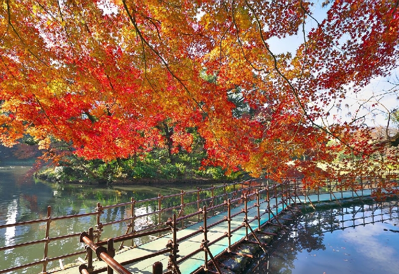 小石川後楽園