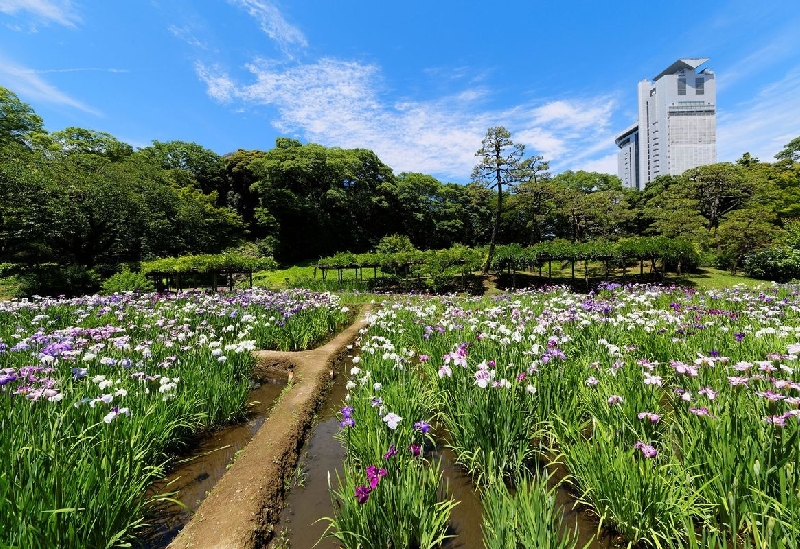 小石川後楽園