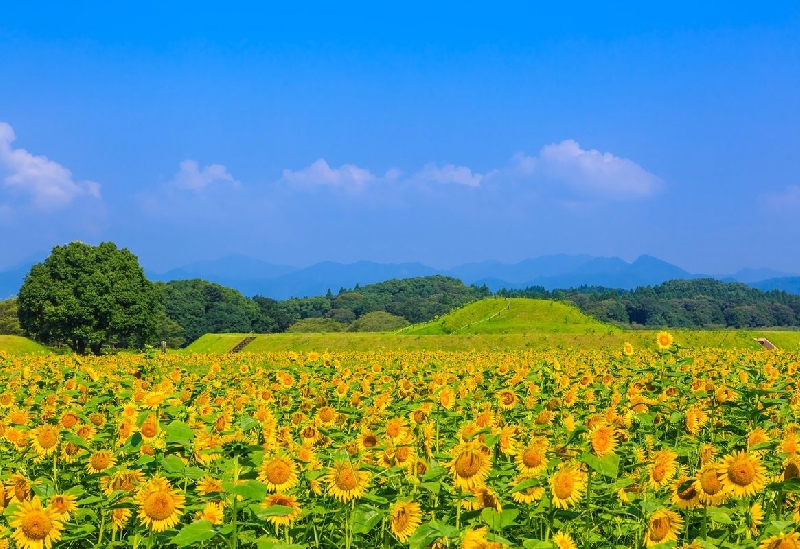 西都原古墳群