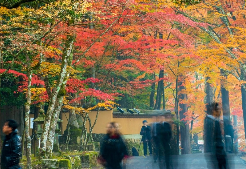 佛通寺