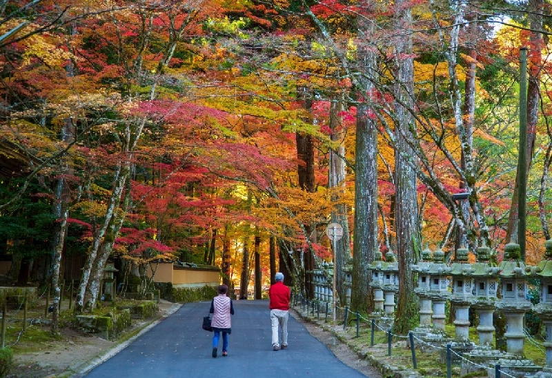 佛通寺