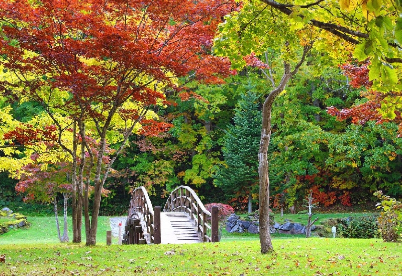 ふきだし公園