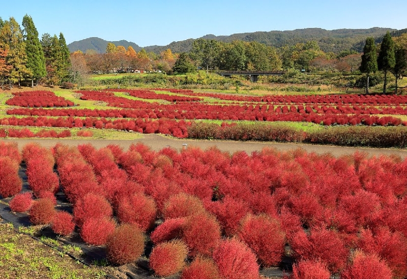 国営みちのく杜の湖畔公園