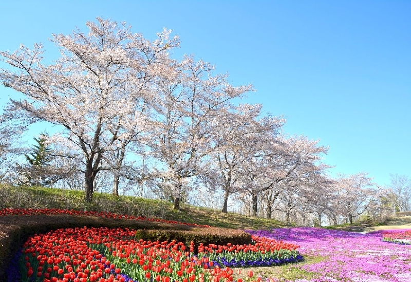 国営みちのく杜の湖畔公園