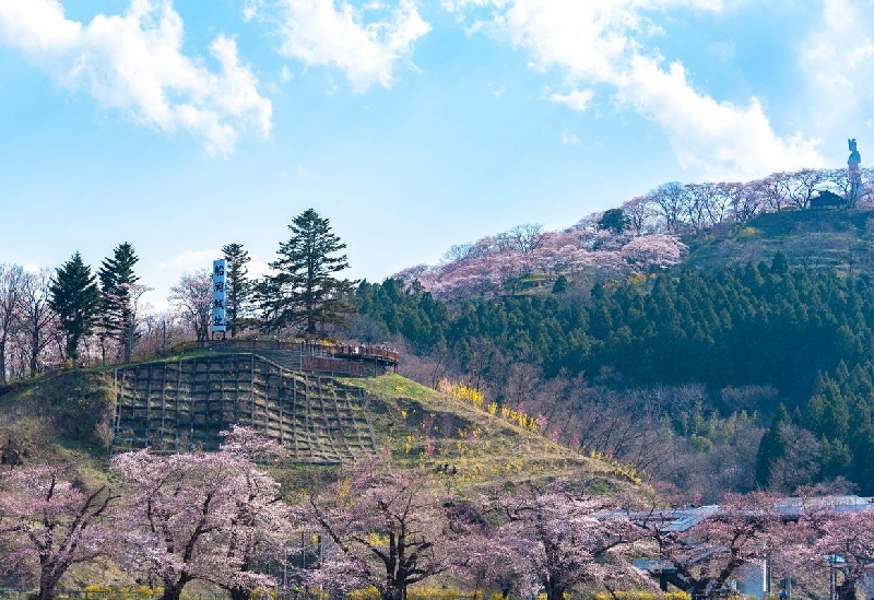 船岡城址公園