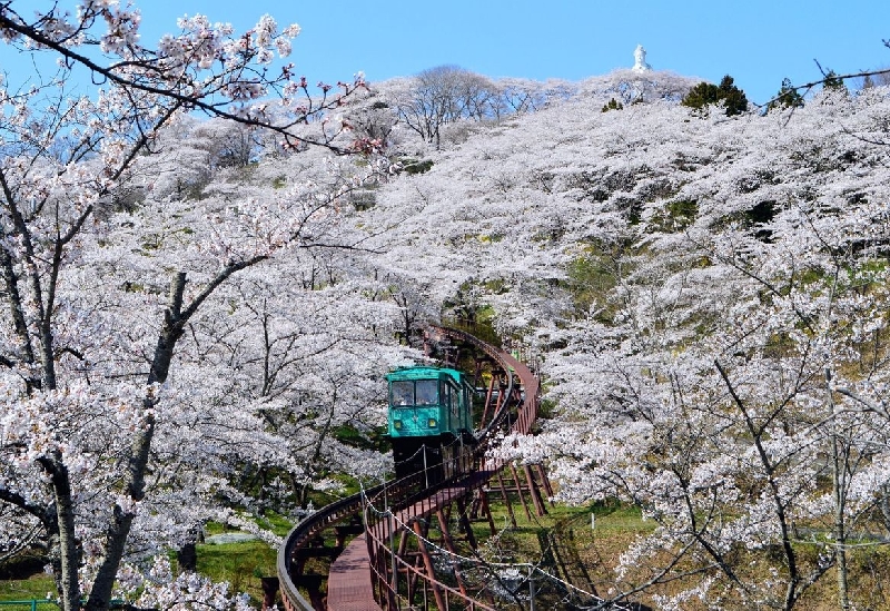 船岡城址公園