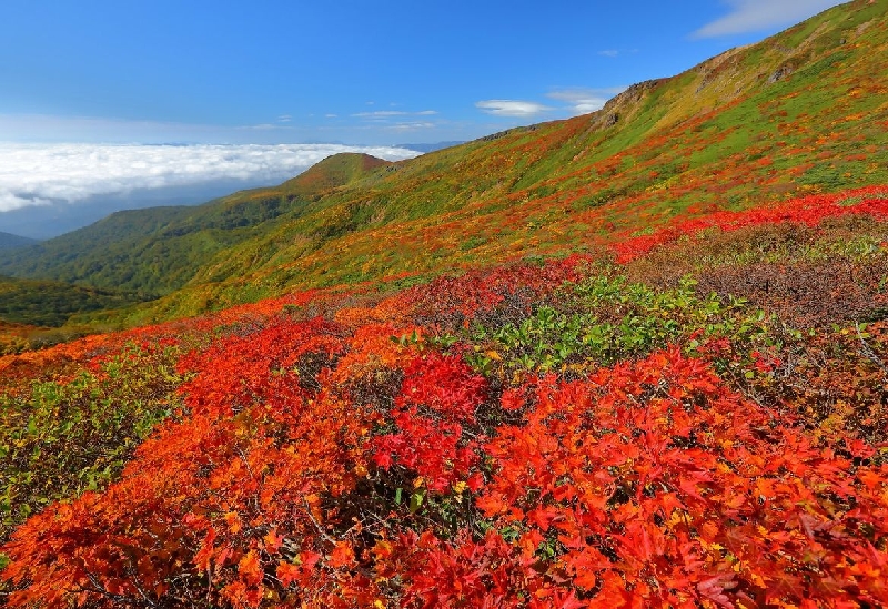 駒ヶ岳（秋田県）