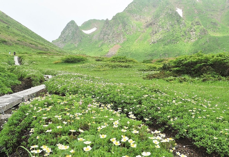 駒ヶ岳（秋田県）