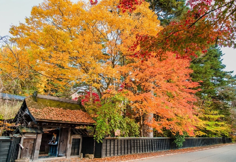 角館歴史村・青柳家