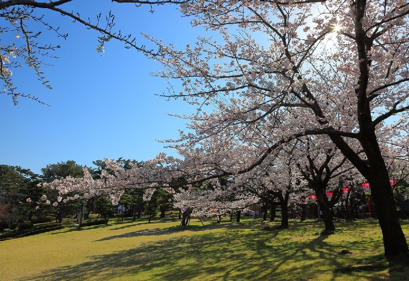 日和山公園