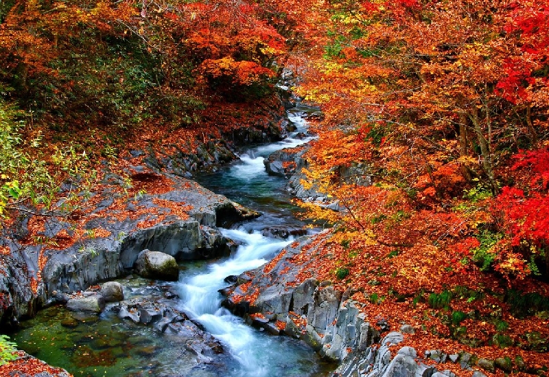 中津川渓谷