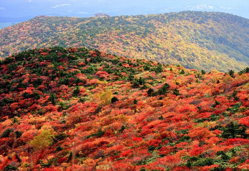 あだたら山ロープウェイ