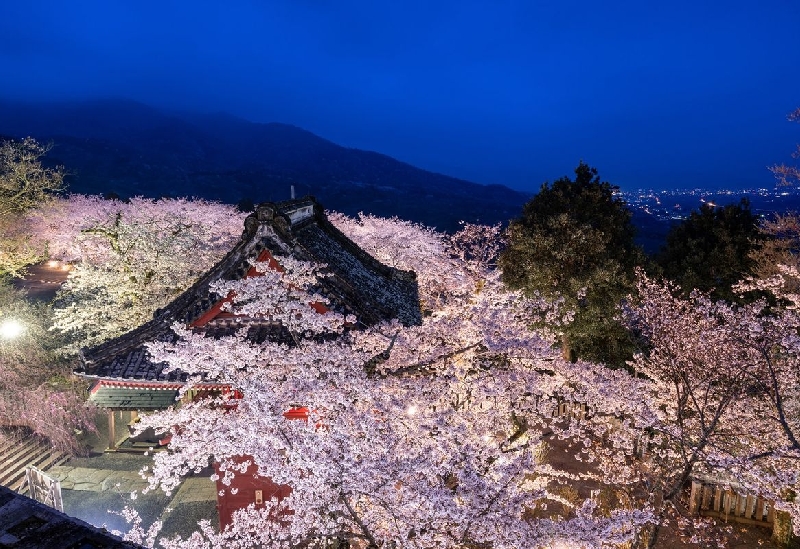 雨引観音（楽法寺）