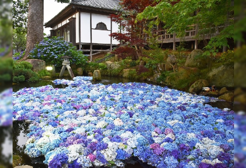 雨引観音（楽法寺）