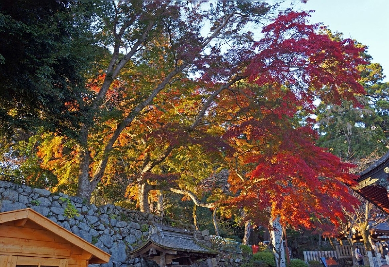 筑波山神社