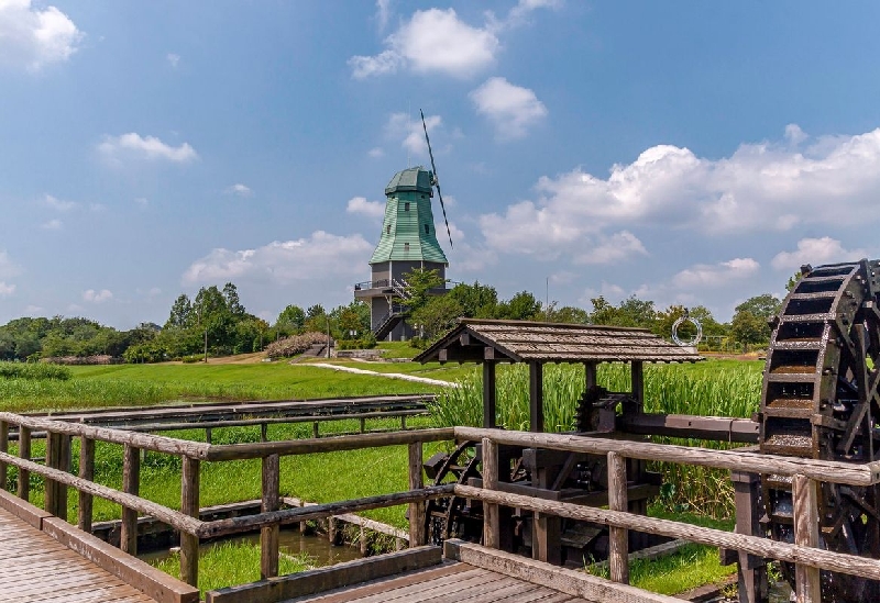 霞ヶ浦総合公園