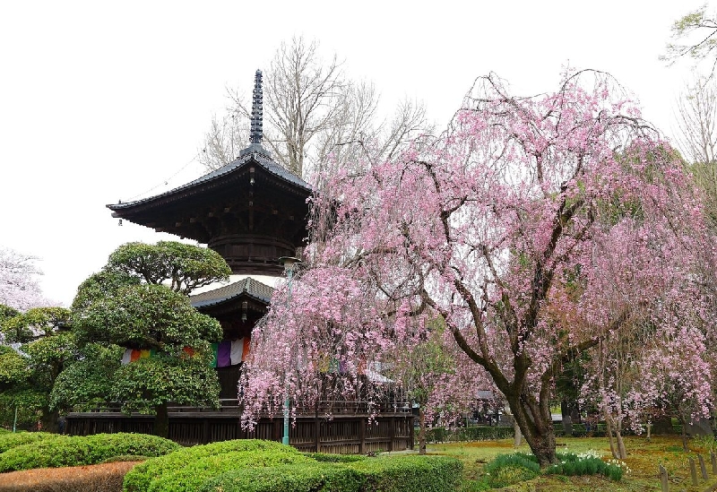 鑁阿寺