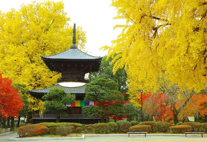 鑁阿寺