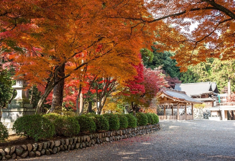 高麗神社