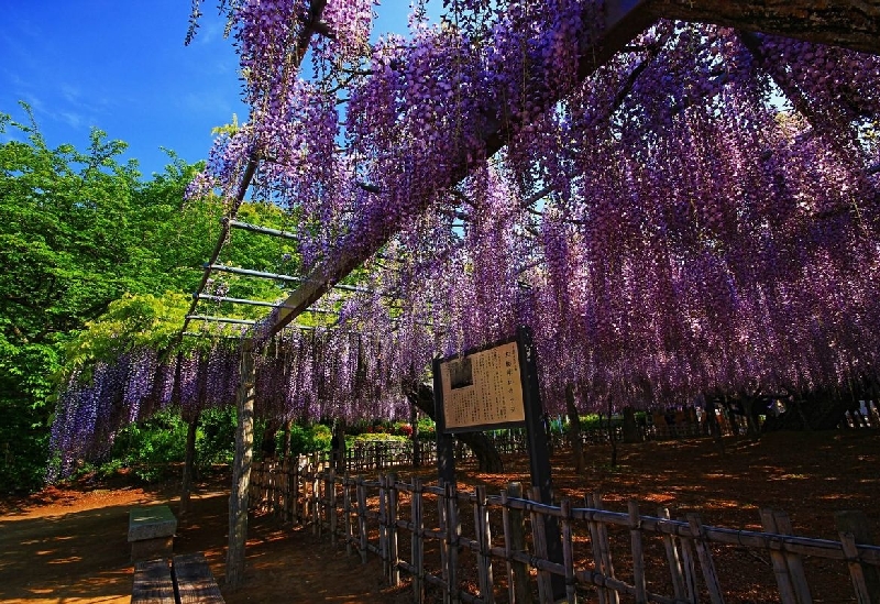 玉敷神社