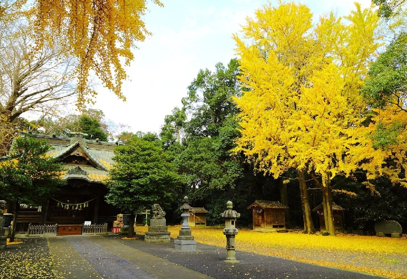 玉敷神社