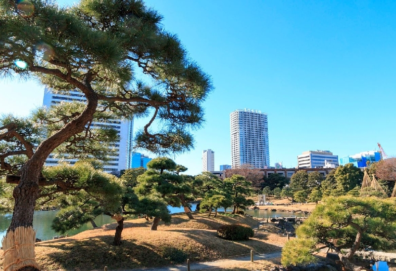 旧芝離宮恩賜庭園