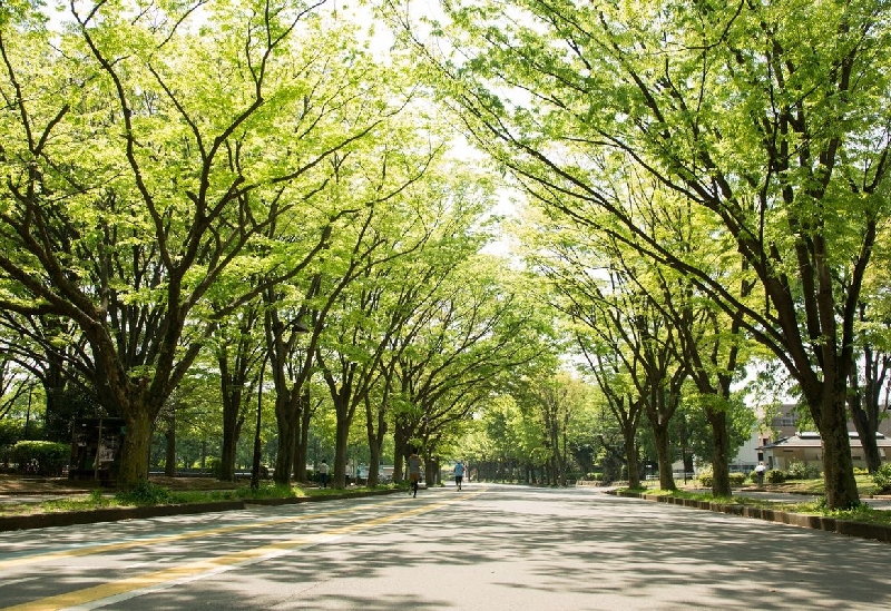 駒沢オリンピック公園