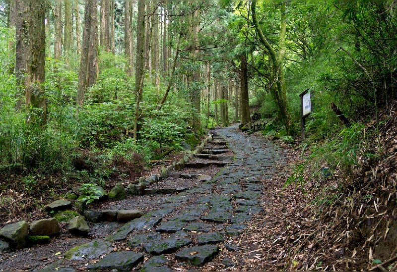 箱根旧街道杉並木