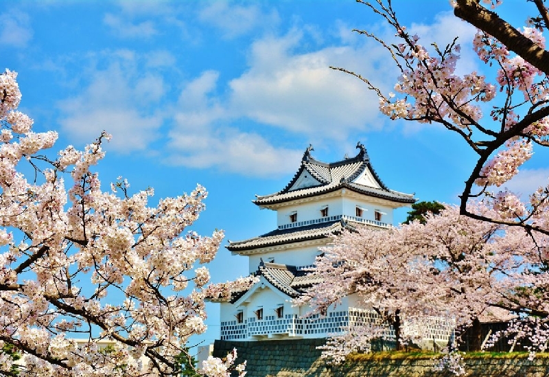 下越・村上・新発田