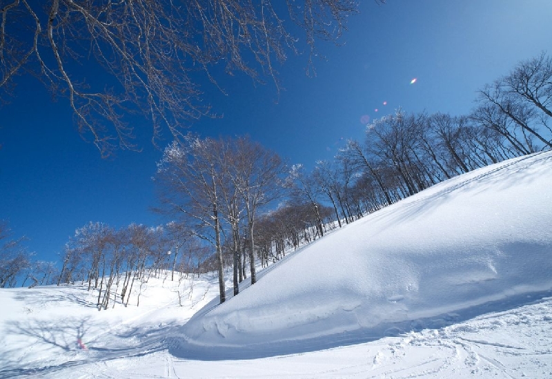 六日町八海山スキー場