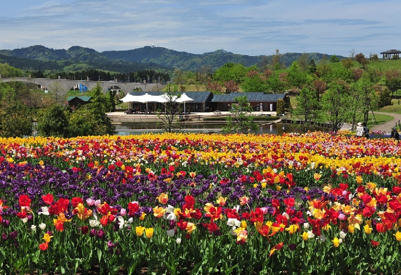 国営越後丘陵公園