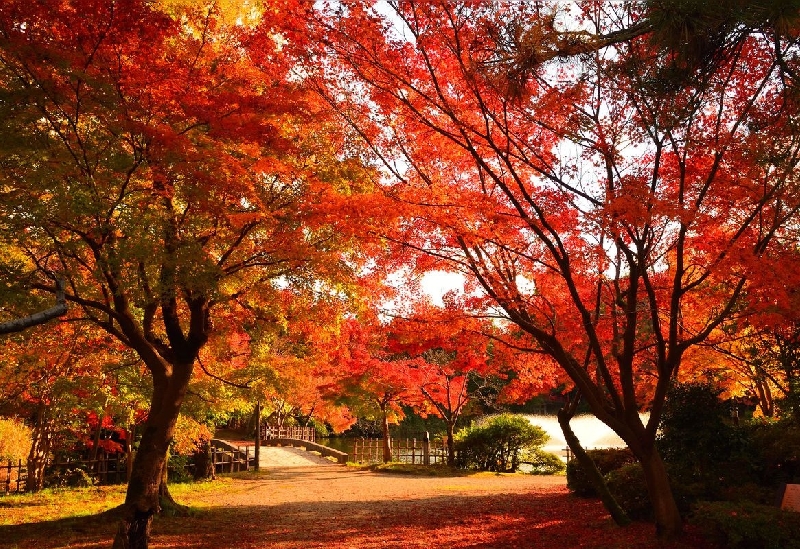 高岡古城公園（高岡城跡）