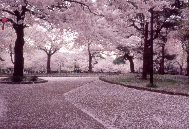 高岡古城公園（高岡城跡）