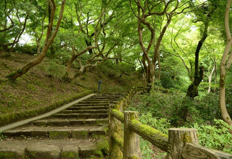 高岡古城公園（高岡城跡）