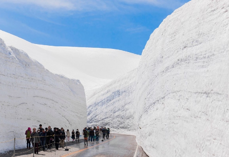 雪の大谷