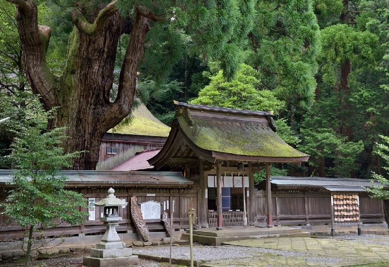 若狭彦神社