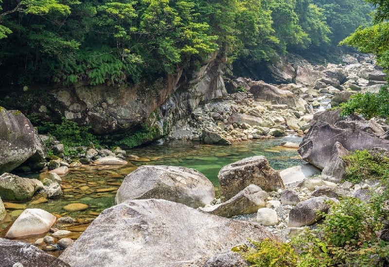 魚飛渓