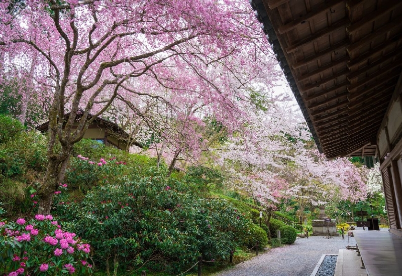 三千院