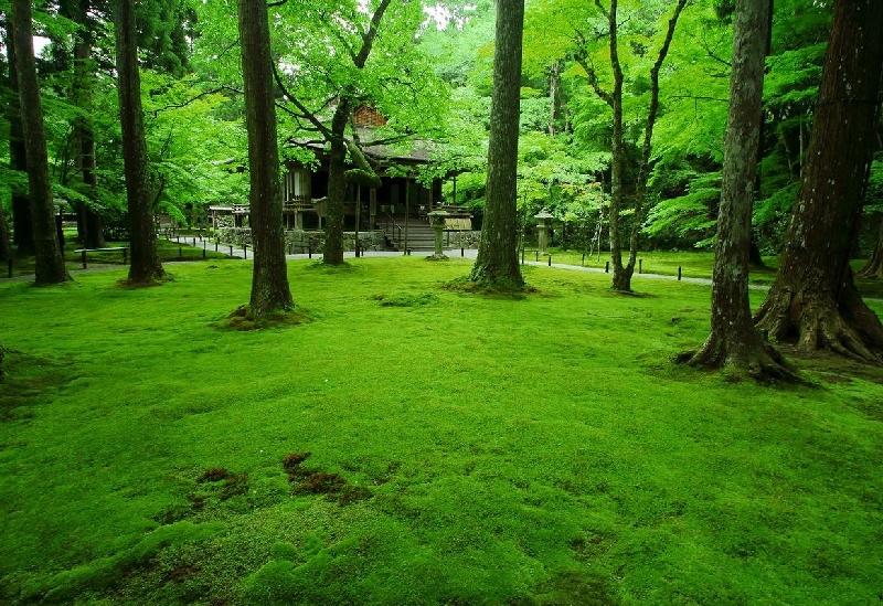 三千院