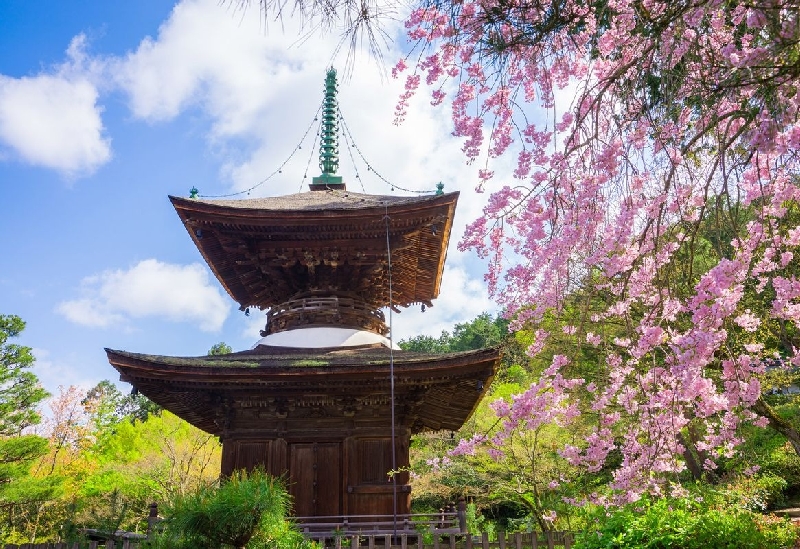 常寂光寺