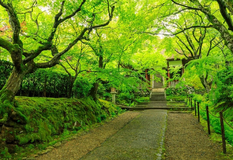 常寂光寺