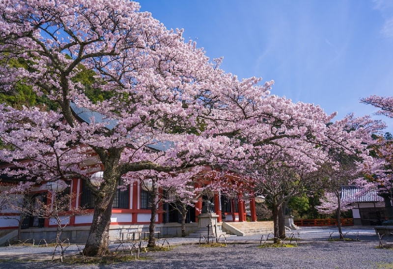 鞍馬寺