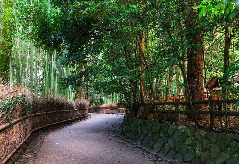 野宮神社