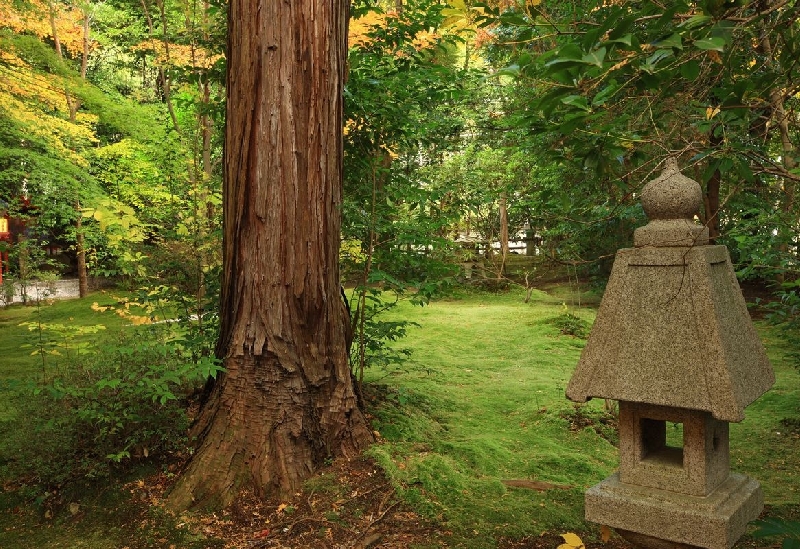 野宮神社