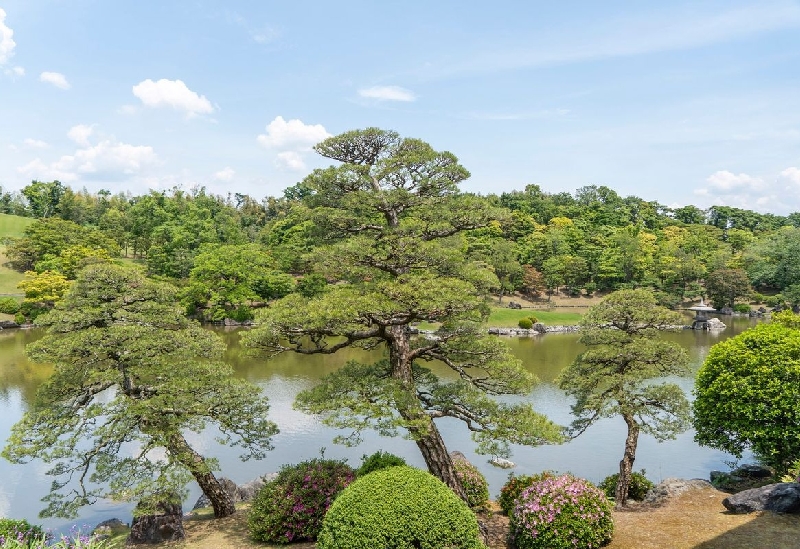 万博記念公園